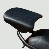 Електрически велосипед Riding Times Z8S