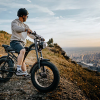 Електрически велосипед Riding Times Z8S