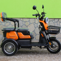 Уникална Триместна Триколка MaxMotors X1 NEW