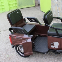 Двуместна електрическа триколка MAX MOTORS 1500W 20 AH