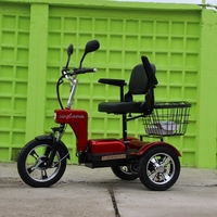 Електрическа триколка A6 LUX+ 1000W
