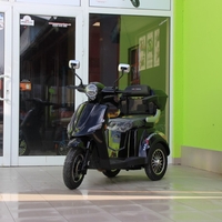 Електрическа Фамозна триколка MaXmotors FM1 1500W – BLACK