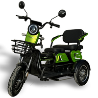 Електрическа двуместна триколка С1 | Зелена, 1500W, 48/20Аh