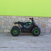Eлектрическо ATV MaxMotors Mudhawk 1200W