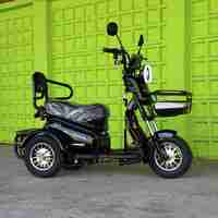 Двуместна електрическа триколка MaxMotors Pudding 1800W BLACK