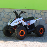 ATV 125cc Maxmotors Бензиново АТВ подходящо за юноши 125 кубика
