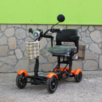Електрическа сгъваема четириколка 750W MaxMotors