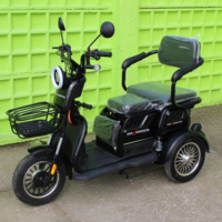 Триместна Триколка MAXMOTORS X1 NEW МОДЕЛ Аудио система
