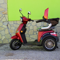 Електрическа Фамозна триколка MaXmotors FM1 1500W – RED