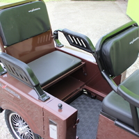 Двуместна електрическа триколка MAX MOTORS 1500W 20 AH