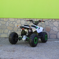 Eлектрическо ATV MaxMotors Mudhawk 1200W