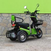 Двуместна електрическа триколка MaxMotors Pudding 1800W-48V-20Ah GREEN