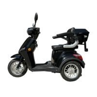 Електрическа триколка В1 | Черна, 1500W, 5 батерии, 2024