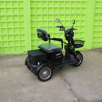 Триместна Триколка MAXMOTORS X1 NEW МОДЕЛ Аудио система
