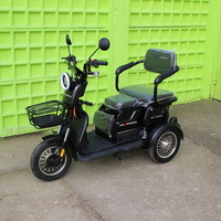 Триместна Триколка MAXMOTORS X1 NEW МОДЕЛ Аудио система