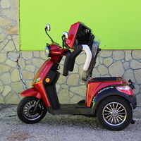 Електрическа Фамозна триколка MaXmotors FM1 1500W – RED
