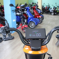 Уникална Триместна Триколка MaxMotors X1 NEW