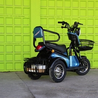 Двуместна електрическа триколка MaxMotors Pudding 1800W-48V-20Ah-BLUE