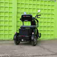 Триместна Триколка MAXMOTORS X1 NEW МОДЕЛ Аудио система