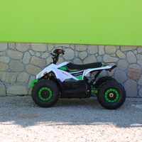 Eлектрическо ATV MaxMotors Mudhawk 1200W