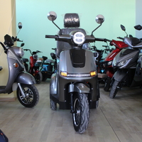 Електрическа триколка Max Motors FM2 PRO 1800W, 25Ah, GRAY