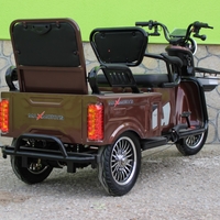 Двуместна електрическа триколка MAX MOTORS 1500W 20 AH