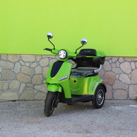 Електрическа Фамозна триколка MaXmotors FM1 1500W – GREEN