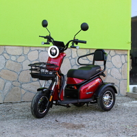 Двуместна електрическа триколка MaxMotors Pudding 1800W-48V-20Ah RED
