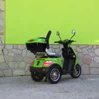 Електрическа Фамозна триколка MaXmotors FM1 1500W – GREEN