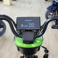 Двуместна електрическа триколка MaxMotors Pudding 1800W-48V-20Ah GREEN