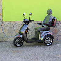 Електрическа триколка Max Motors FM2 PRO 1800W, 25Ah, GRAY