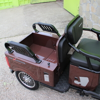 Двуместна електрическа триколка MAX MOTORS 1500W 20 AH