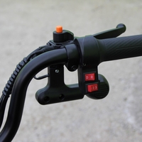 Двуместна електрическа триколка MAX MOTORS 1500W 20 AH