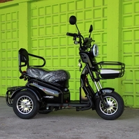 Двуместна електрическа триколка MaxMotors Pudding 1800W BLACK
