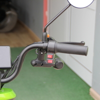 Двуместна електрическа триколка MaxMotors Pudding 1800W-48V-20Ah GREEN