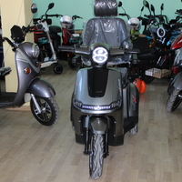 Електрическа триколка Max Motors FM2 PRO 1800W, 25Ah, GRAY