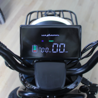 Триместна Триколка MAXMOTORS X1 NEW МОДЕЛ Аудио система