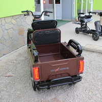 Двуместна електрическа триколка MAX MOTORS 1500W 20 AH