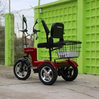 Електрическа триколка A6 LUX+ 1000W