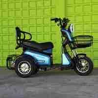 Двуместна електрическа триколка MaxMotors Pudding 1800W-48V-20Ah-BLUE