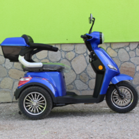 Електрическа Фамозна триколка MaXmotors FM1 1500W – BLUE