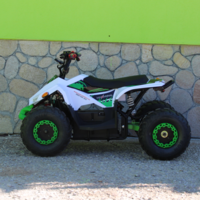 Eлектрическо ATV MaxMotors Mudhawk 1200W