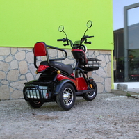 Двуместна електрическа триколка MaxMotors Pudding 1800W-48V-20Ah RED