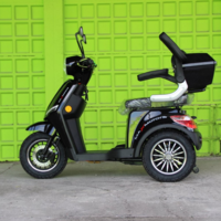 Електрическа Фамозна триколка MaXmotors FM1 1500W – BLACK