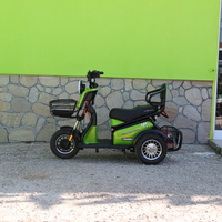 Двуместна електрическа триколка MaxMotors Pudding 1800W-48V-20Ah GREEN