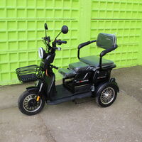Триместна Триколка MAXMOTORS X1 NEW МОДЕЛ Аудио система