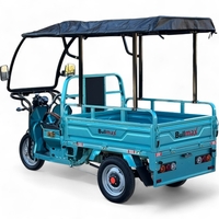 Селскостопанска Товарна електрическа карго триколка Bullmax S-800 | 2000W, Документи за регистрация, 2024