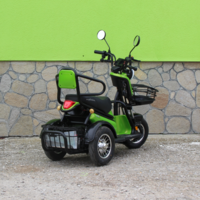 Двуместна електрическа триколка MaxMotors Pudding 1800W-48V-20Ah GREEN