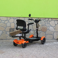 Електрическа сгъваема четириколка 750W MaxMotors