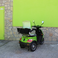 Електрическа Фамозна триколка MaXmotors FM1 1500W – GREEN
